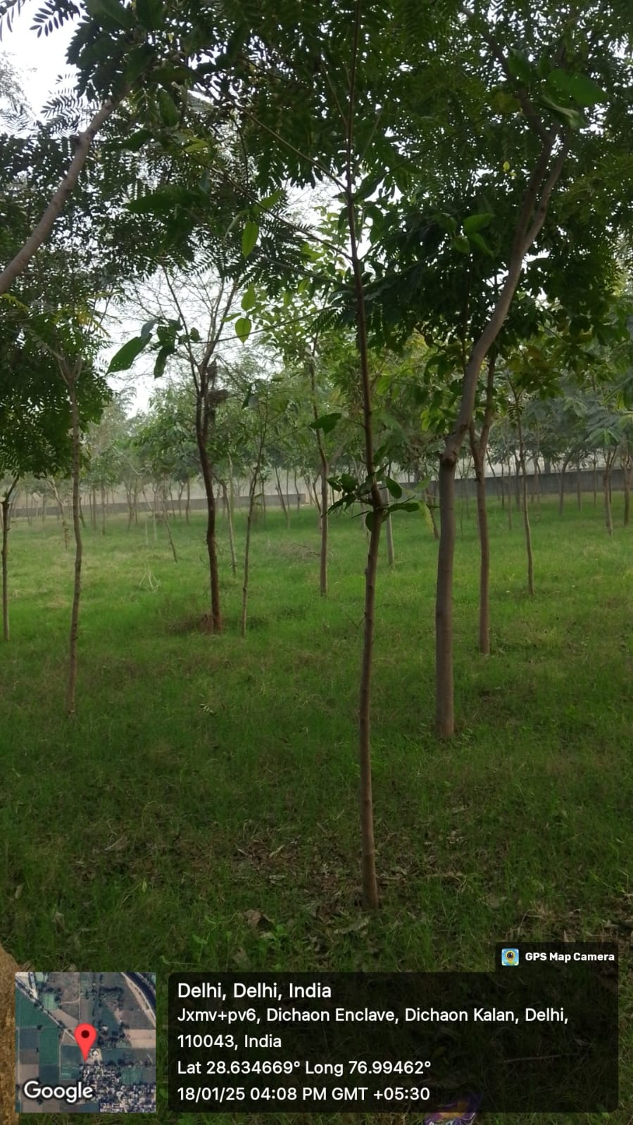 Compensatory Afforestation